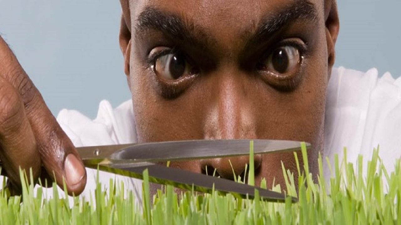 افراد «کامل گرا» چه ویژگی دارند؟