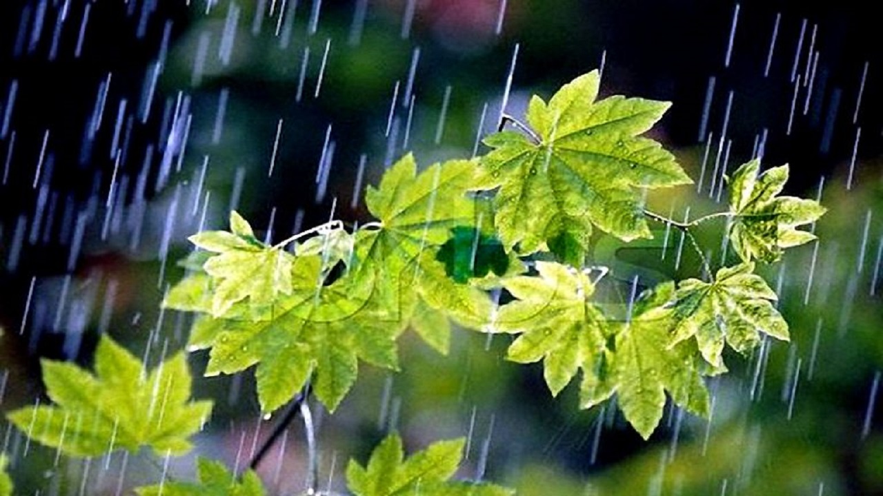 پیش بینی بارش‌های رگباری برای نواحی شمالی استان سمنان