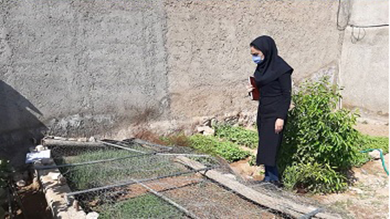 اجرای طرح باغچه خانگی در سپیدان