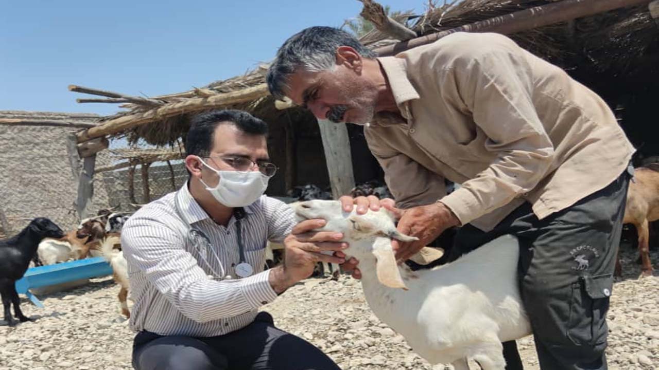 خدمات رایگان به دامداران بخش مرکزی و بیرم لارستان