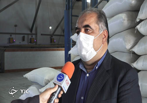 حال ناکوک شالیکاران و احوال خوش دلالان برنج