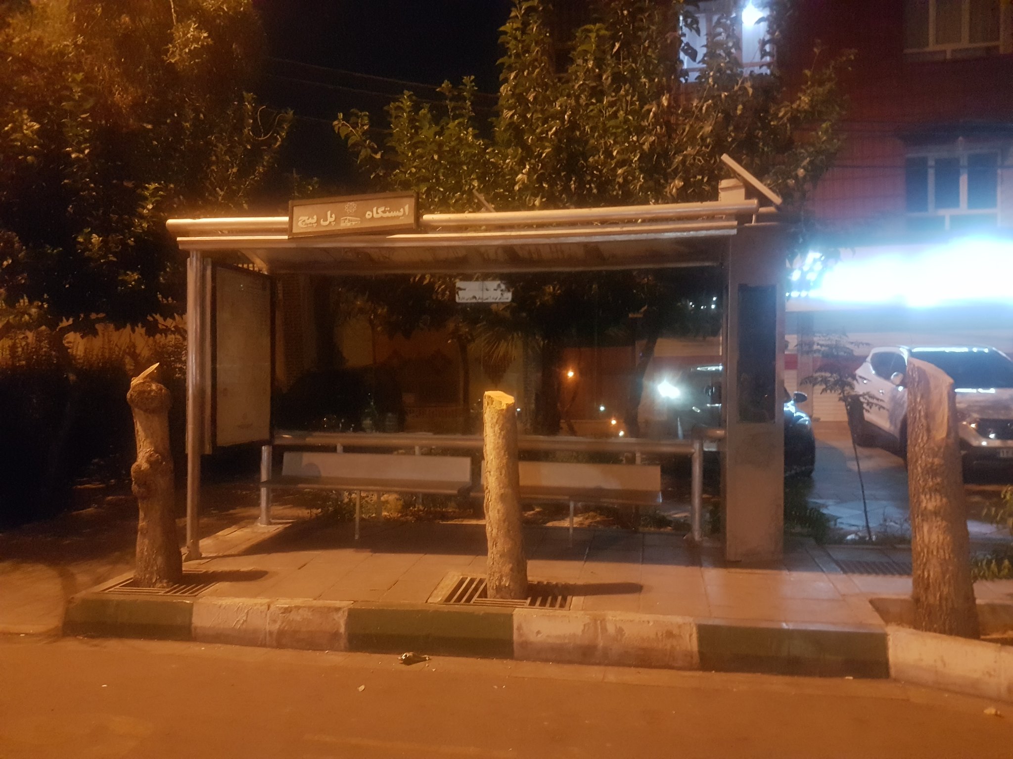 خشکیدگی و قطع دسته جمعی درختان نازی آباد/ شهرداری: از کنار ریشه خبر نداریم که چه می گذرد