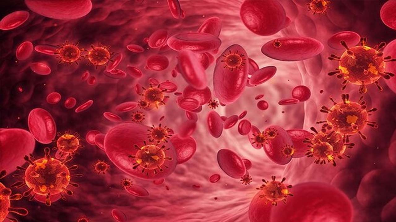 خوراکی‌هایی که برای درمان کم خونی موثرند