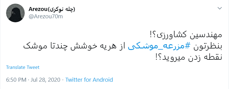 خواست هر ایرانی یک #مزرعه_موشکی در نزدیکی تل&zwnj;آویو!