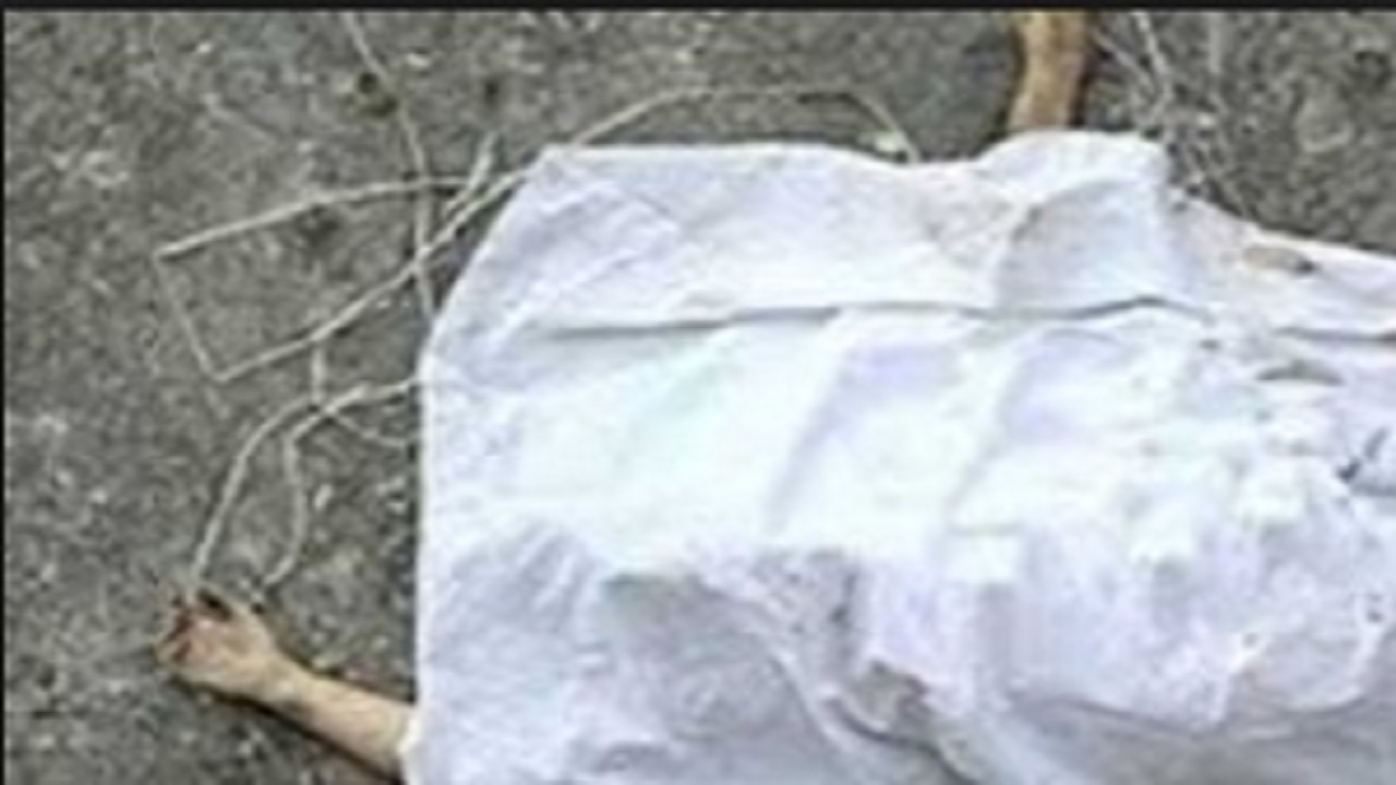 راز جسد زن جوان روی گاری دستی