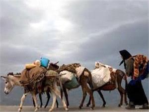 غافلگیری 70 خانوار عشایر کوهرنگی