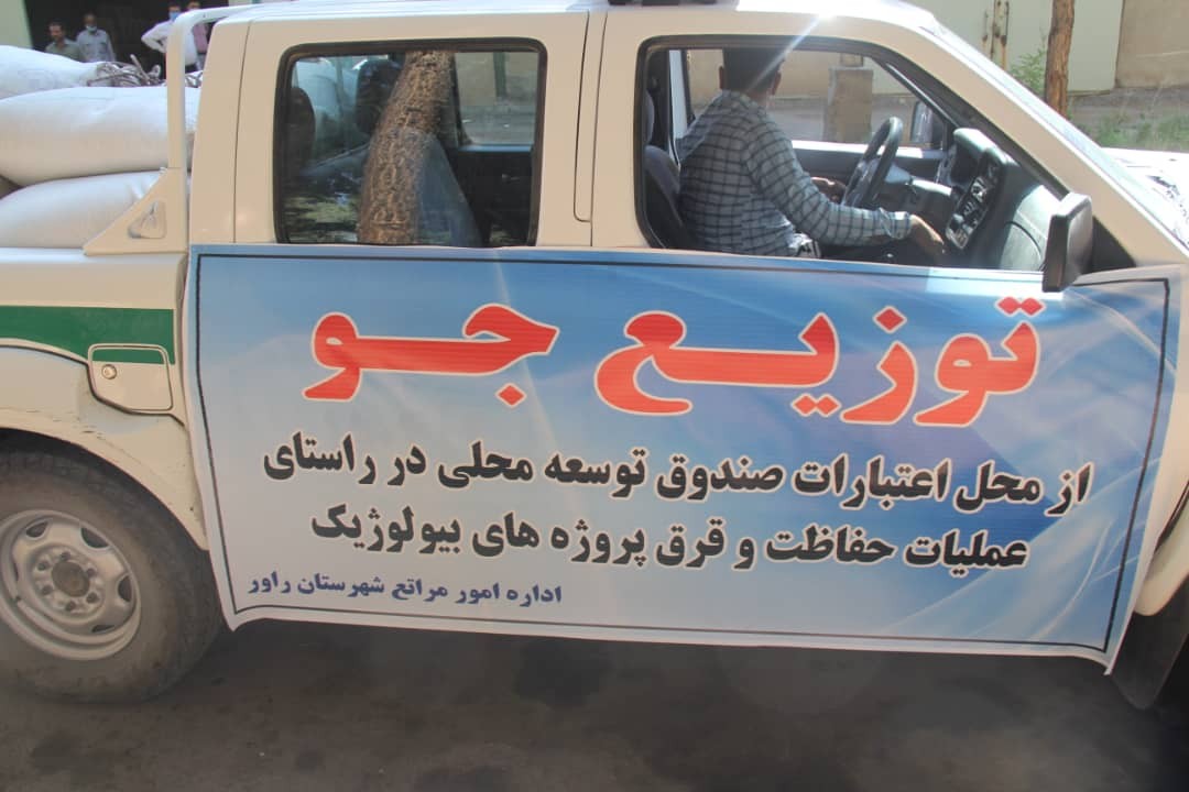 توزیع ۲۳ هزار کیلوگرم نهاده دامی در کرمان