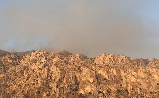آتش&zwnj;سوزی در ارتفاعات بوشکان دشتستان تحت کنترل است