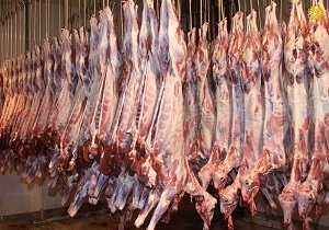 مشکلی در تامین گوشت قرمز در استان اردبیل وجود ندارد