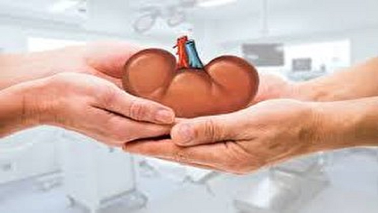 راه اندازی واحد پیوند کلیه از ابتدای مهر در خراسان جنوبی