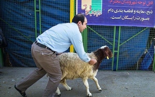 اطلاعیه معاونت بهداشت بهبهان به مناسبت عید سعید قربان