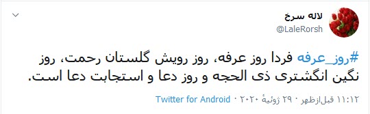 امسال تنها حاجی صحرای عرفات، امام زمان (عج) است/ عرفه یک میانبر شناخت