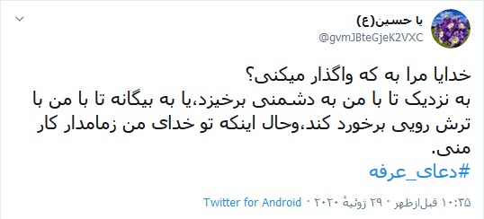 امسال تنها حاجی صحرای عرفات، امام زمان (عج) است/ عرفه یک میانبر شناخت