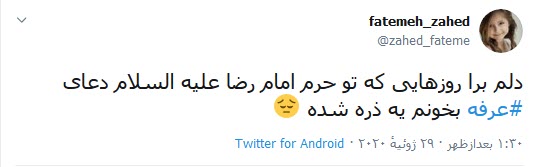 امسال تنها حاجی صحرای عرفات، امام زمان (عج) است/ عرفه یک میانبر شناخت