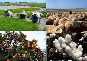 طرح‌های اشتغال روستایی اولویت بندی شوند