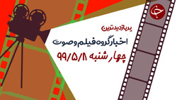 دزدیدن شکار اسب آبی از دهانش توسط چند سگ وحشی + فیلم