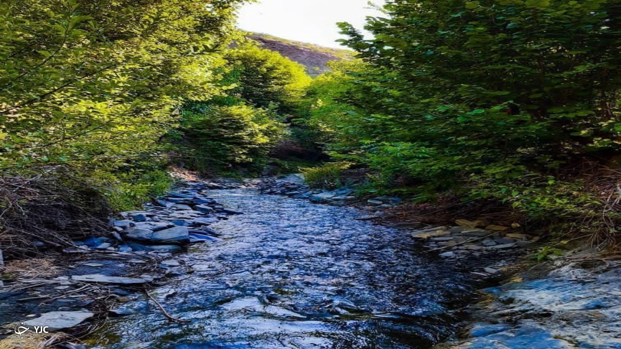 طبیعت زیبا و دیدنی روستای دهبار طرقبه