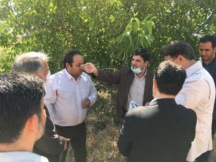 اقدام به موقع دادستان مراغه مانع از زمین خواری بزرگ شد