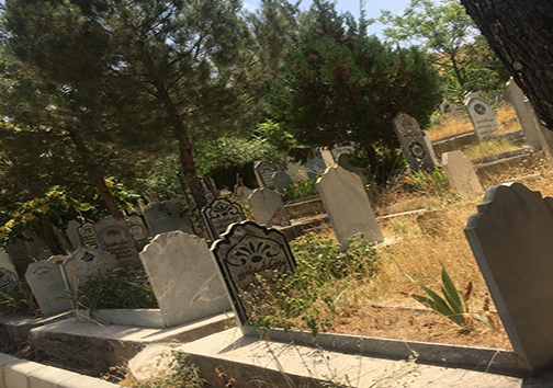 تعطیلی باغ فردوس مهاباد در روز عید قربان