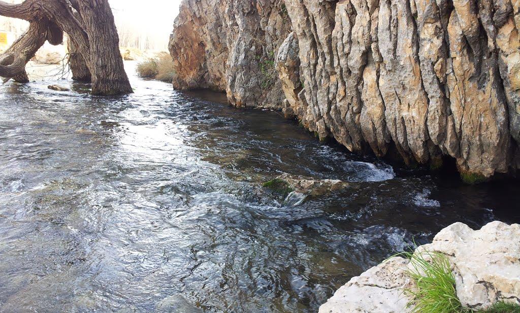 شیراز چشم انتظار دریافت ۱۰۰ میلیون متر مکعب آب از رودخانه بشار و شش پیر