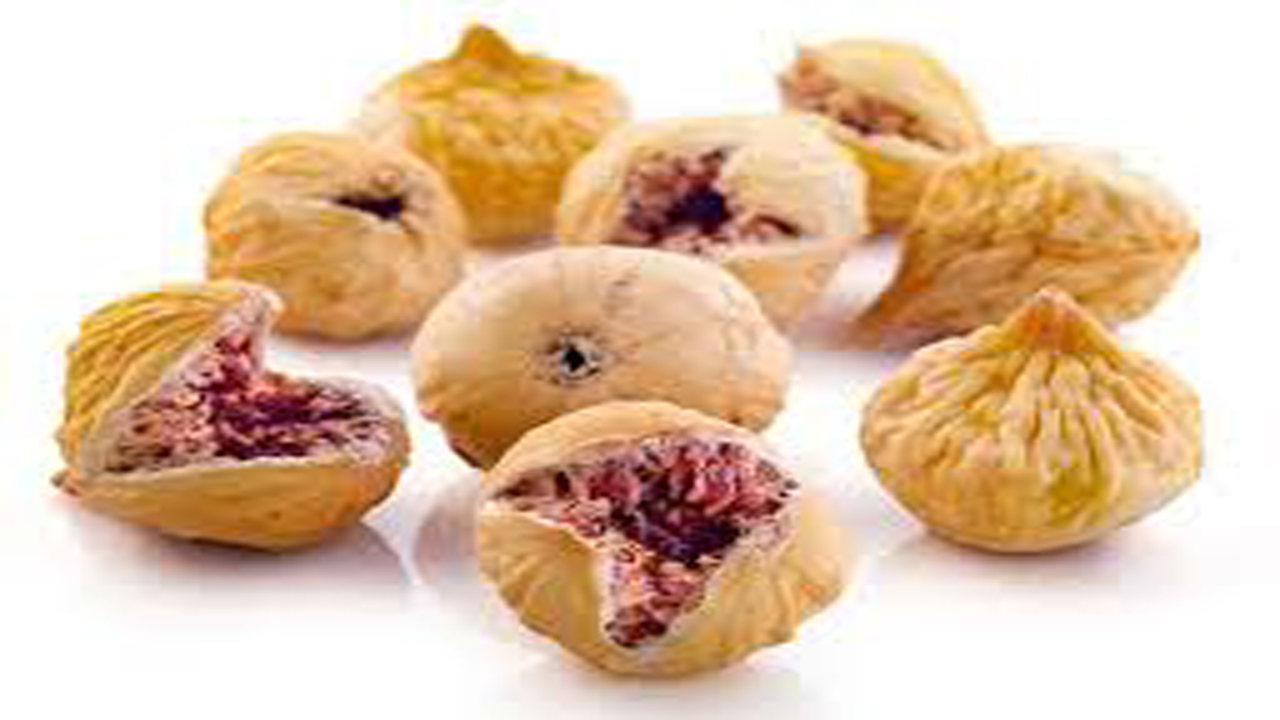 برداشت انجیر ارگانیک در داراب