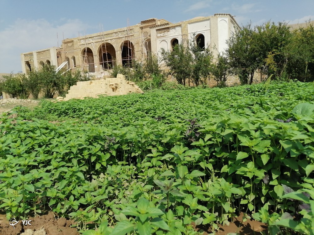 باغ سالارکلانتر