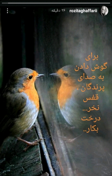 استوری جدید خانم بازیگر