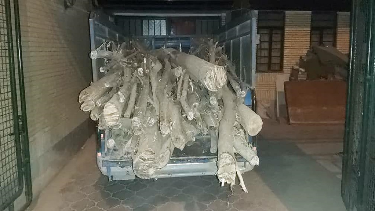 کشف محموله چوب قاچاق در میاندوآب