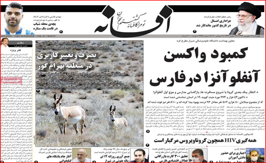 تیراندازی بدون سیبل/ فرودگاه در حسرت پرواز/ زرشک کاران منتظر مجلس/ معدن فاریاب؛طلا یا بلا؟