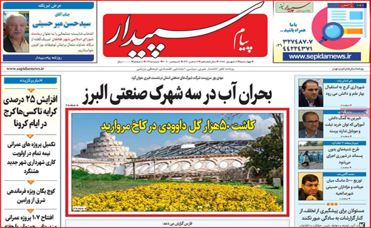 تیراندازی بدون سیبل/ فرودگاه در حسرت پرواز/ زرشک کاران منتظر مجلس/ معدن فاریاب؛طلا یا بلا؟