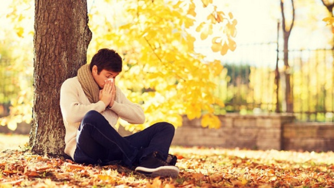 نکات مفید برای کنترل آلرژی در پاییز