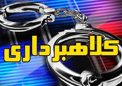 کشف پرونده کلاهبرداری میلیاردی با ترفند فروش صوری نهاده‌های دامی