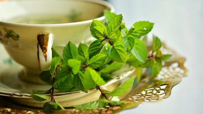 دم کرده نعنا درد دندانتان را با سیر کاهش دهید/علی بیگی