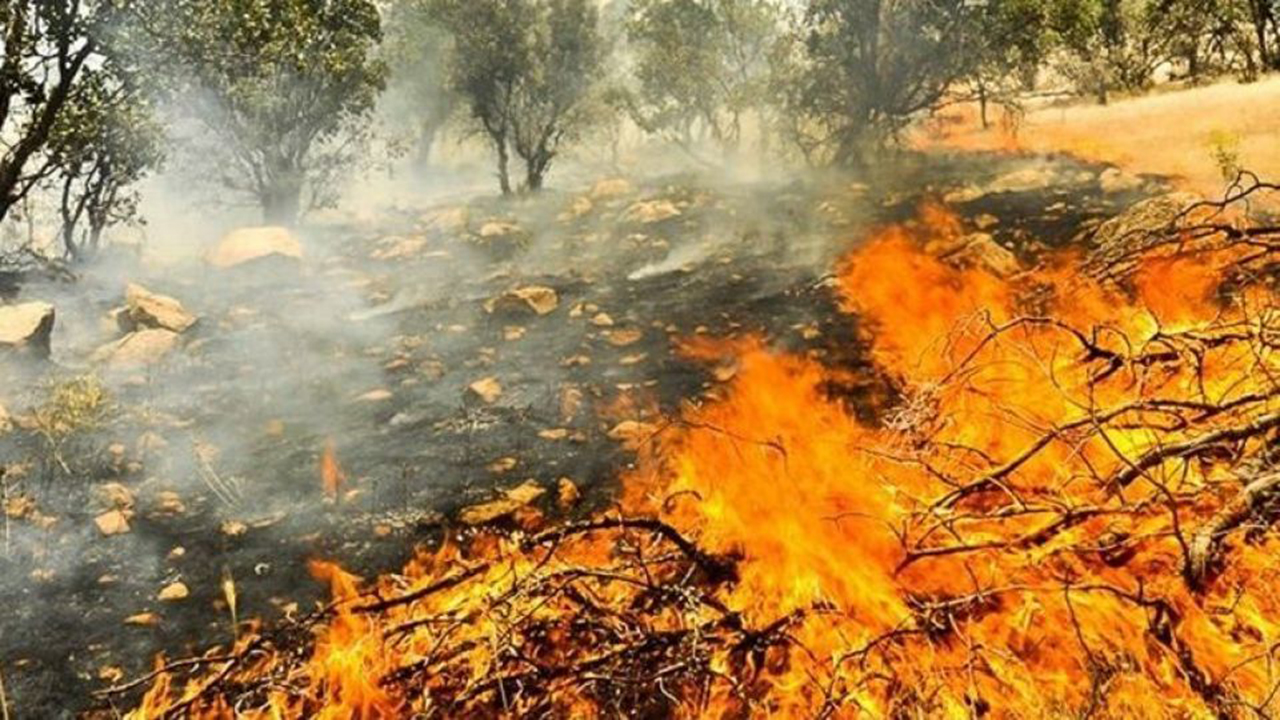 آتش در کوه بیل دشت ارژن باز هم شعله ور شد
