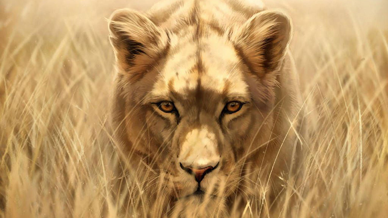 شیر ماده
