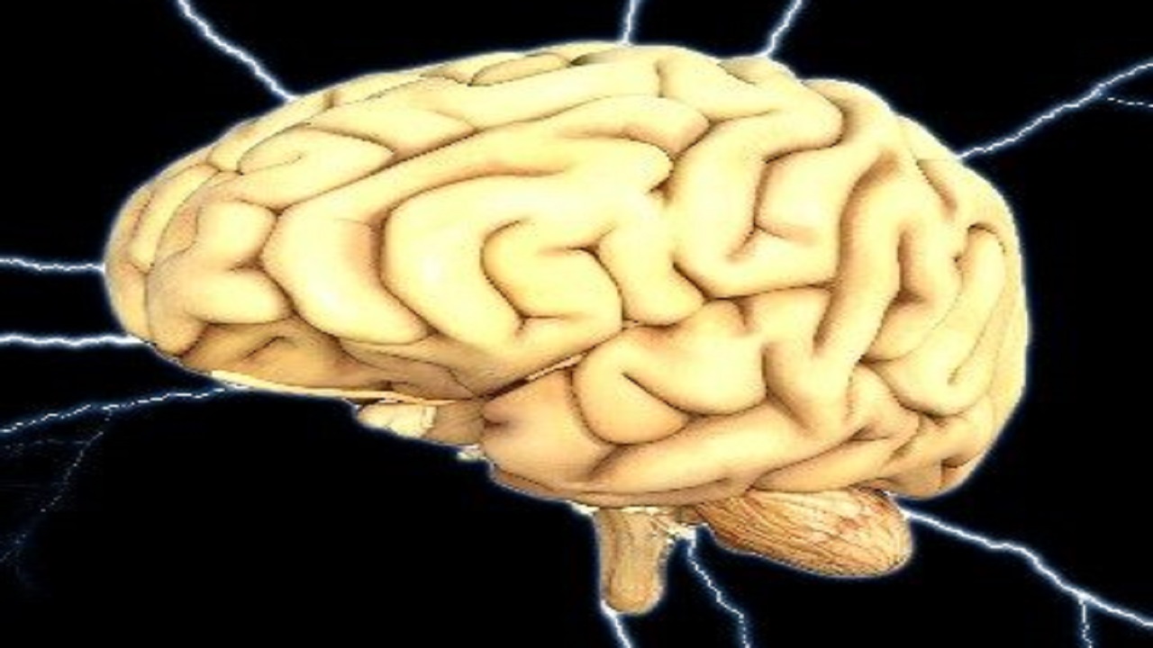 از دست دادن کمتر ماده خاکستری با یادگیری چند زبان