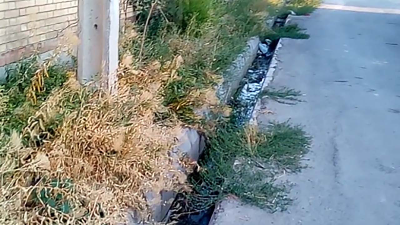 گلایه از وضع نامناسب بهداشت در هشترود + فیلم