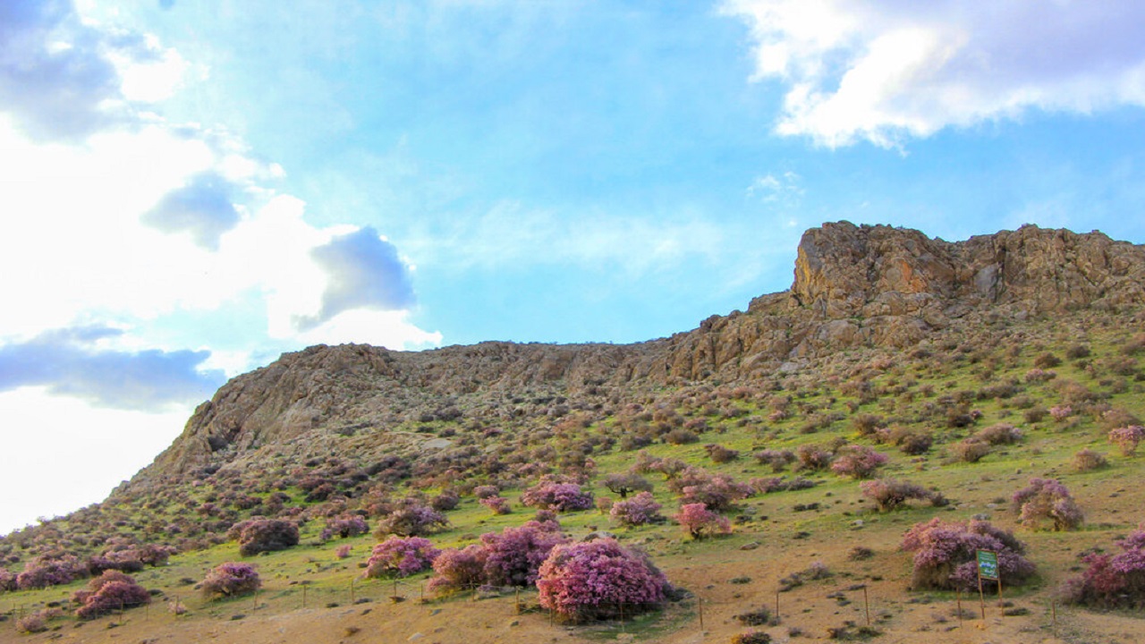 دشت ارجنای چالشتر