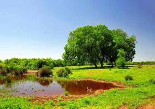 واگذاری اراضی ملی