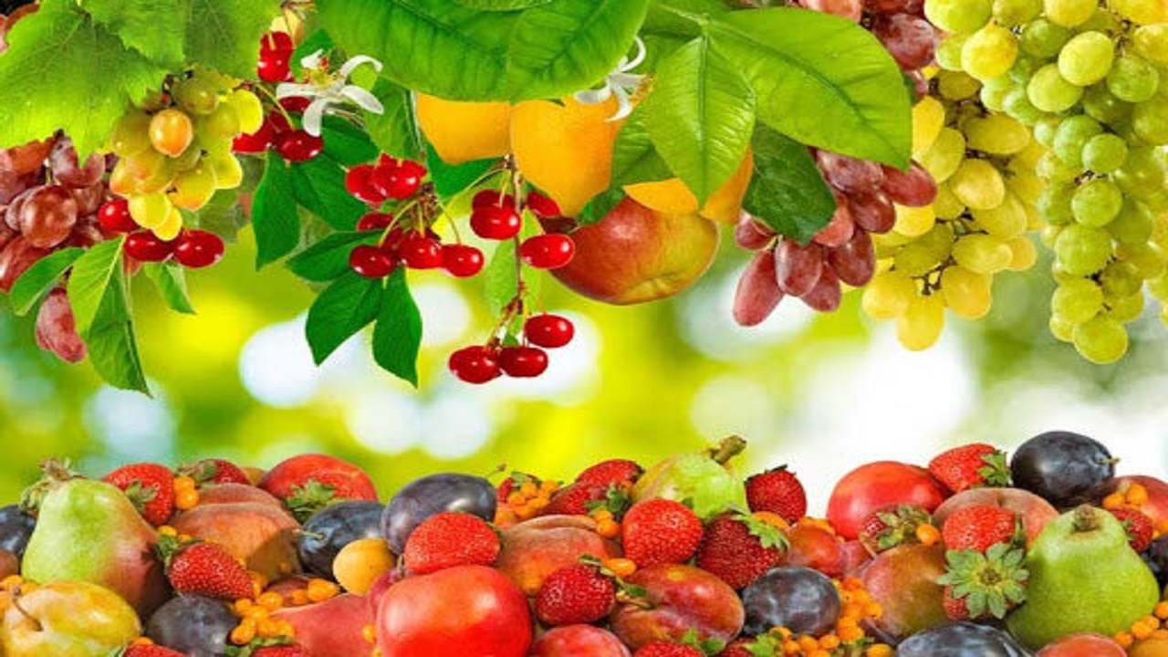 نرخ مصوب هر کیلو میوه در میادین میوه  و تره بار چقدر است؟