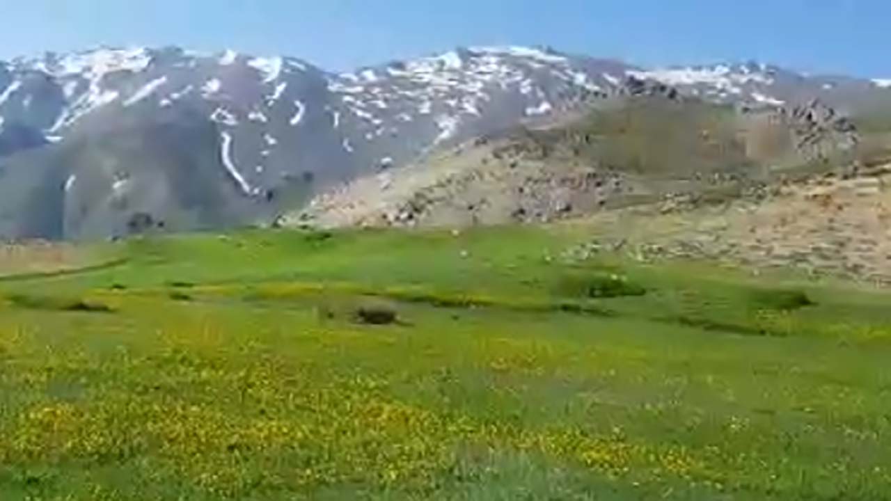 نمایی از طبیعت دیدنی در منطقه چشمه قاضی + فیلم