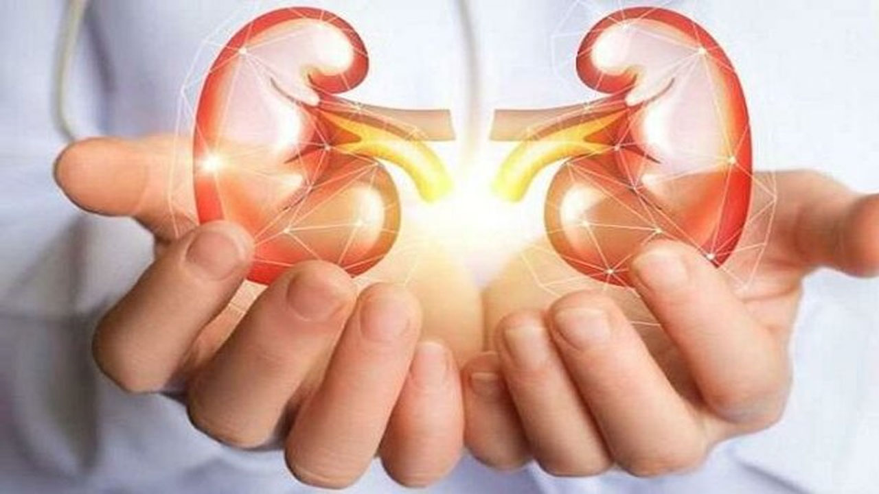 کدام دسته از بیماران کلیوی برای پیوند مناسب هستند؟