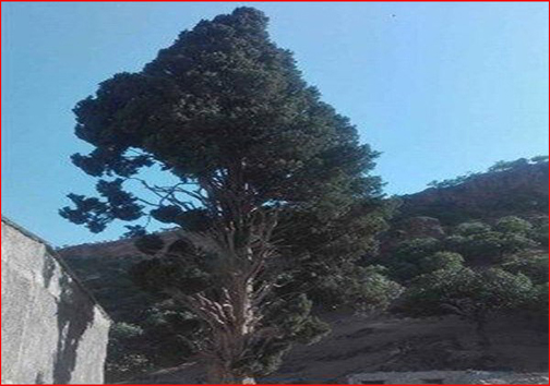 امروز در استان&zwnj;ها چه گذشت؟