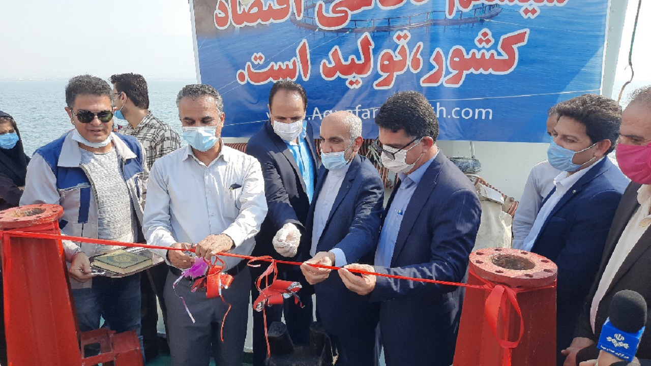 عملیات رهاسازی بچه ماهی سی&zwnj;باس در کنگان اجرا شد
