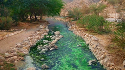 جریمه نقدی برای شهروندانی که ماسک ندارند + فیلم