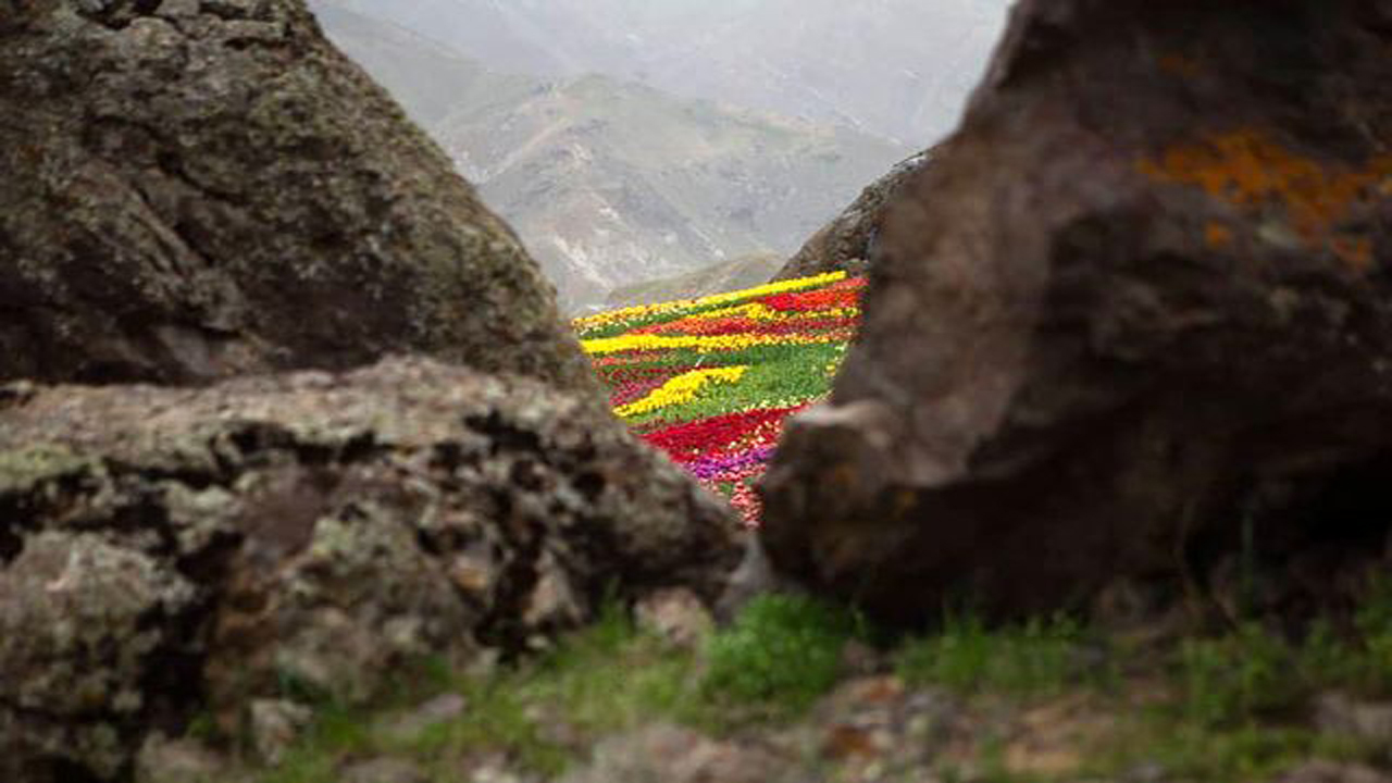 روستای کندر کجاست؟+تصاویر