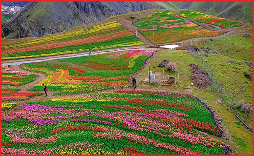 روستای کندر کجاست؟