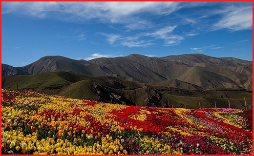 روستای کندر کجاست؟