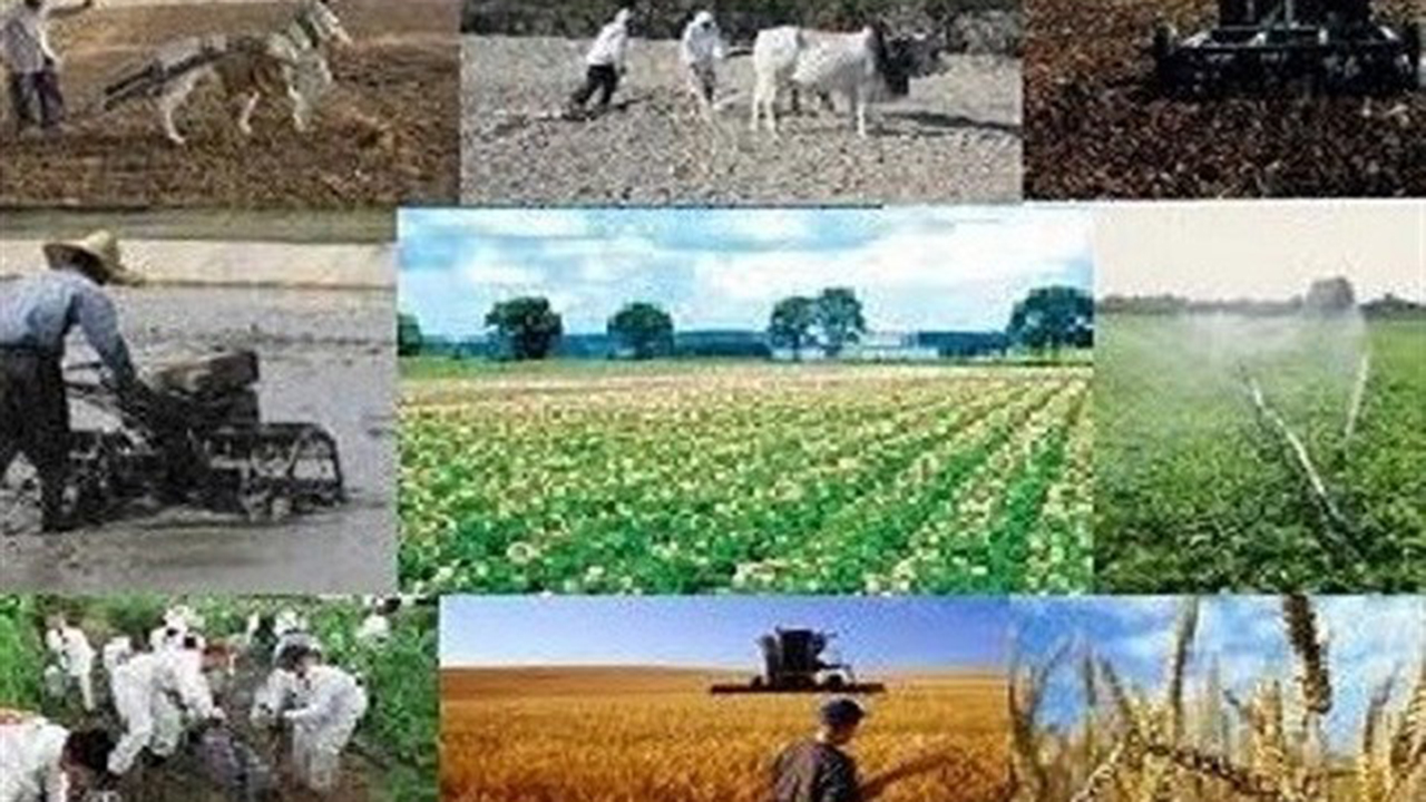 اجرای ۴۸ طرح عشایری از محل تسهیلات اشتغال پایدار روستایی و عشایری