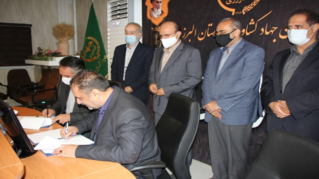 البرز، مرکز عرضه مستقیم محصولات کشاورزی می شود